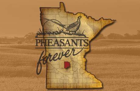 About The Chapter About The Chapter